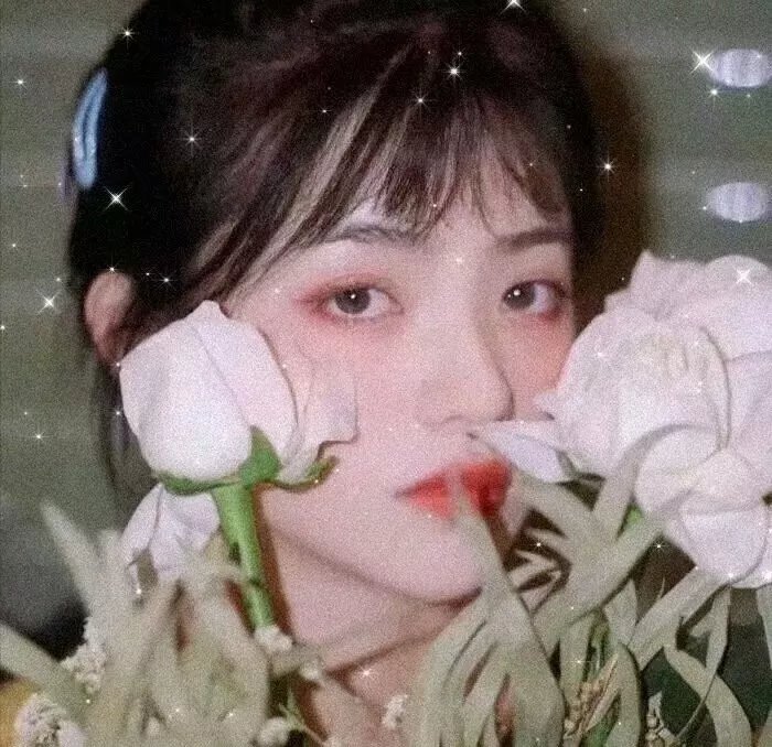 青蛇粤语